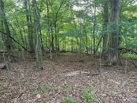 101 Flint Ridge Drive