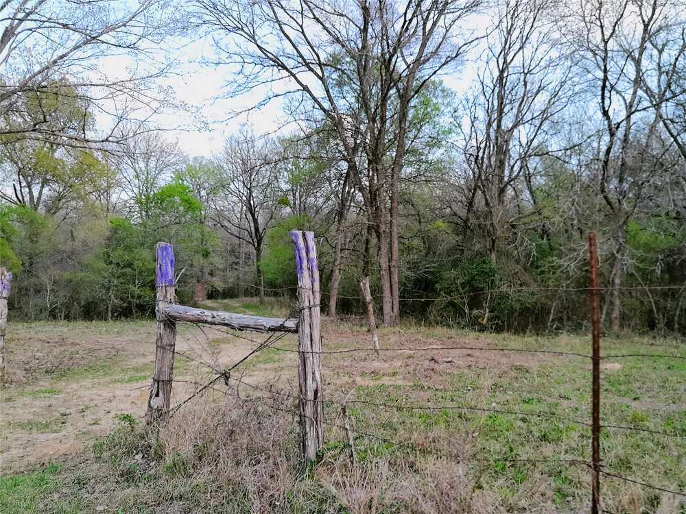 1042 Los Ranchitos Road Cameron, TX 76567