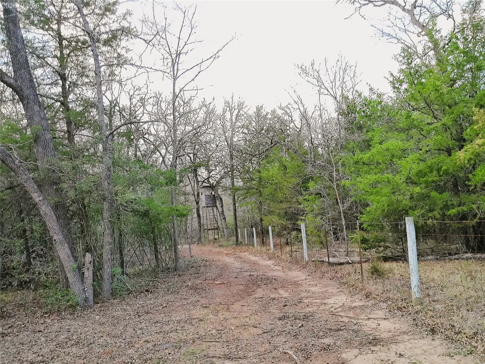1042 Los Ranchitos Road Cameron, TX 76567