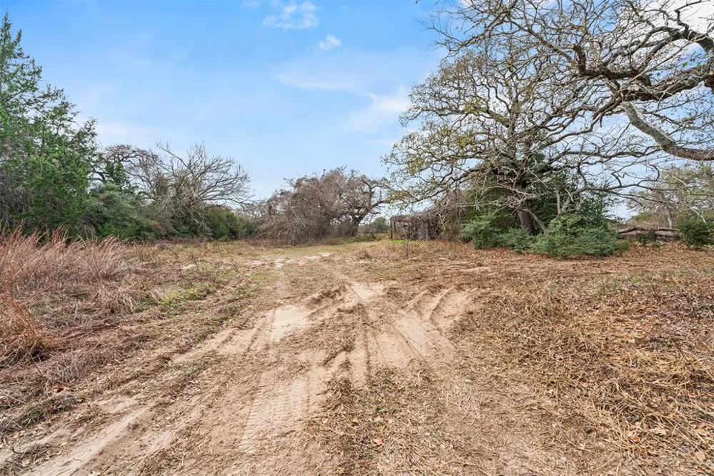 11423 HWY 77 Lexington, TX 78947