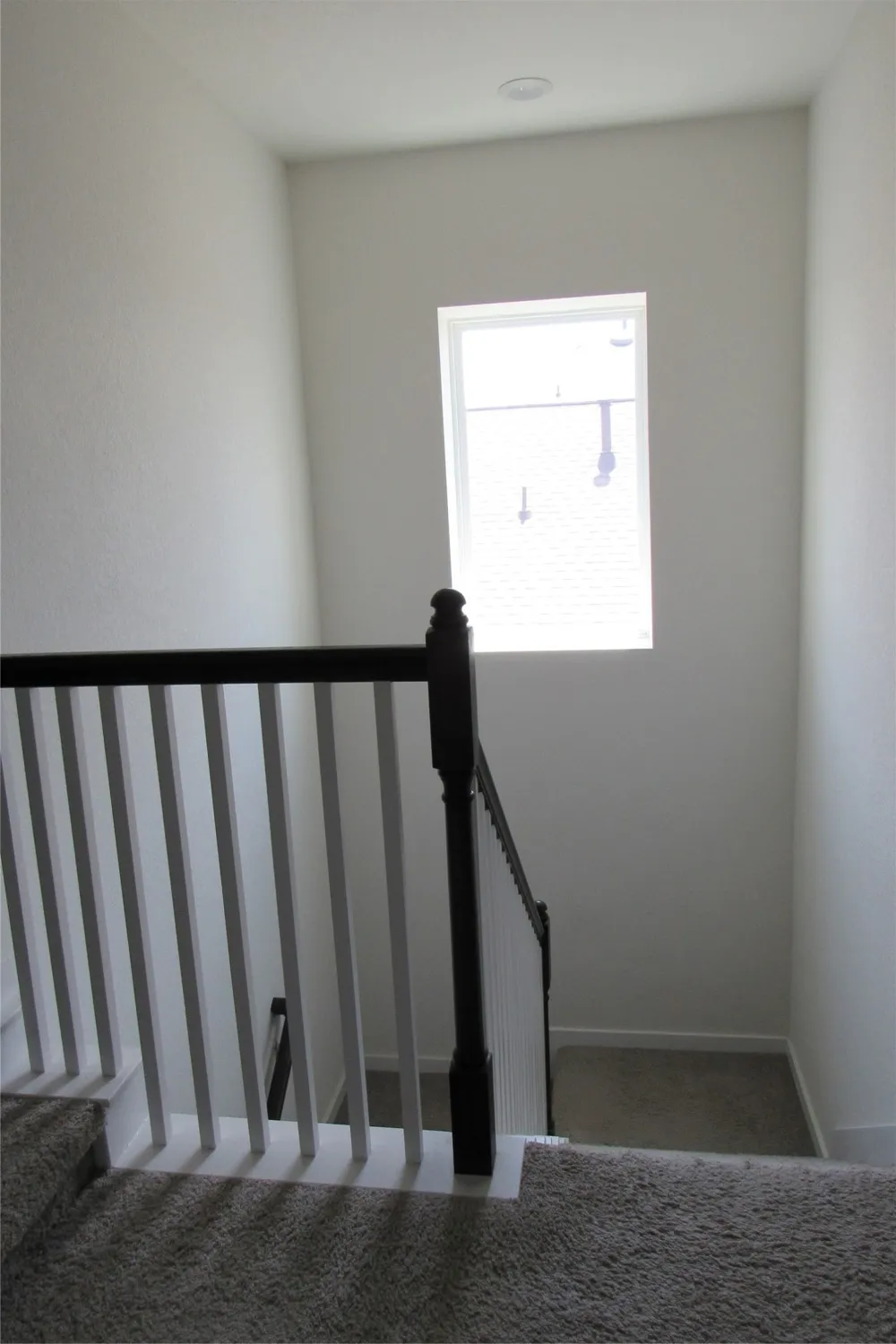 4337 Chapel Hill Street Round Rock, TX 78626