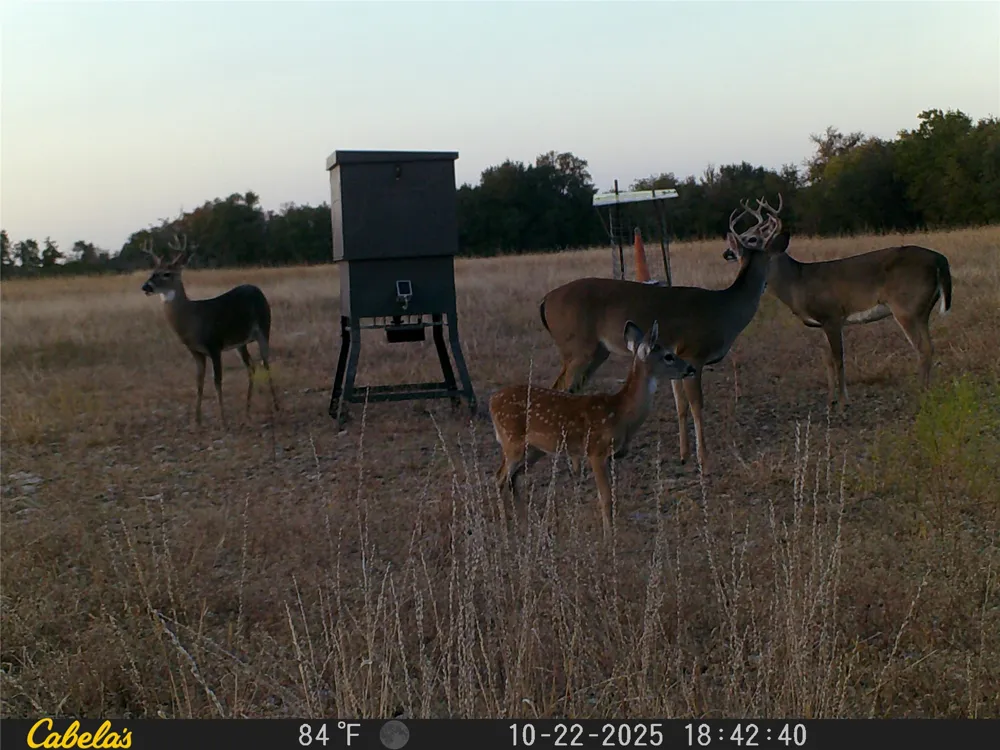 C.R,316 Walburg, TX 78626