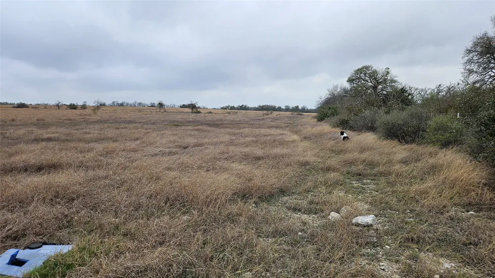 C.R,316 Walburg, TX 78626