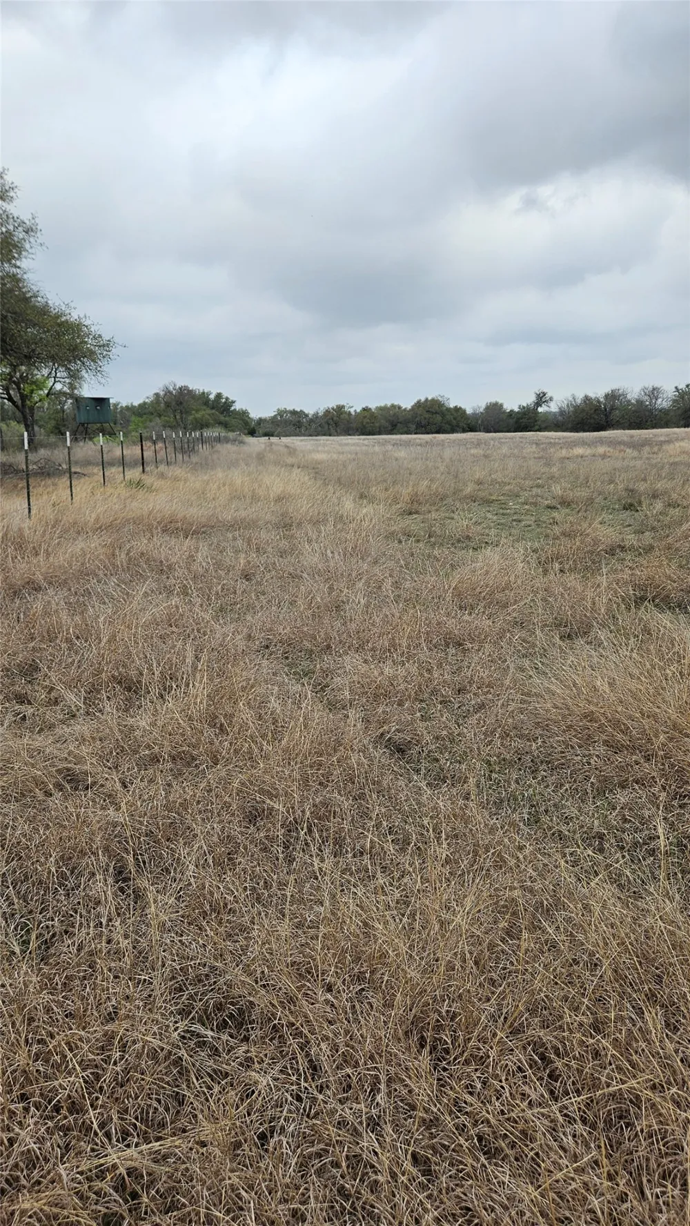 C.R,316 Walburg, TX 78626