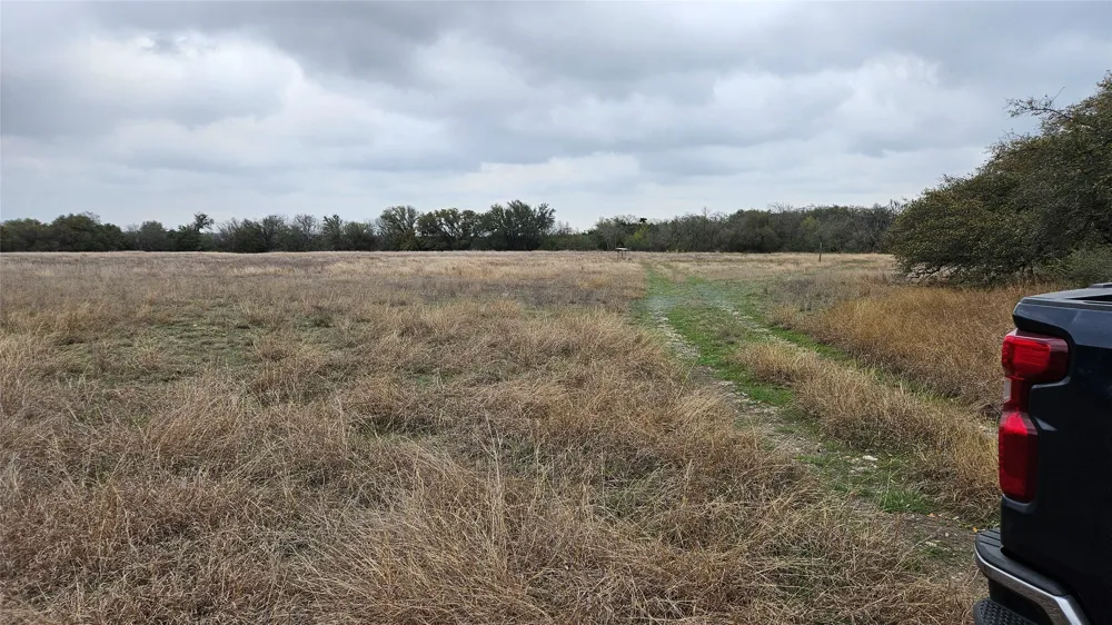 C.R,316 Walburg, TX 78626