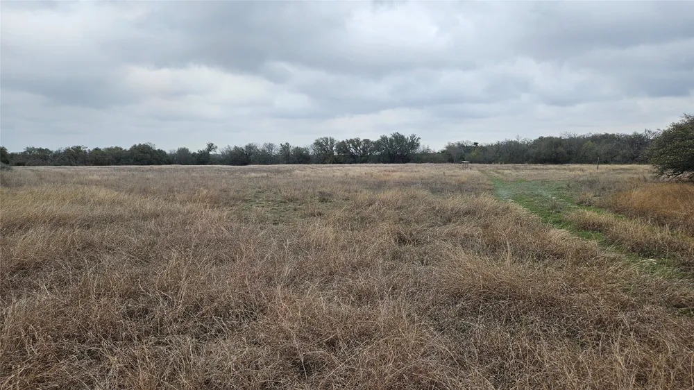 C.R,316 Walburg, TX 78626