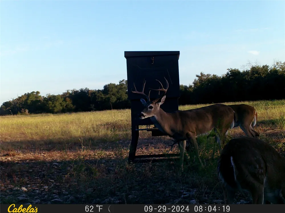 C.R,316 Walburg, TX 78626