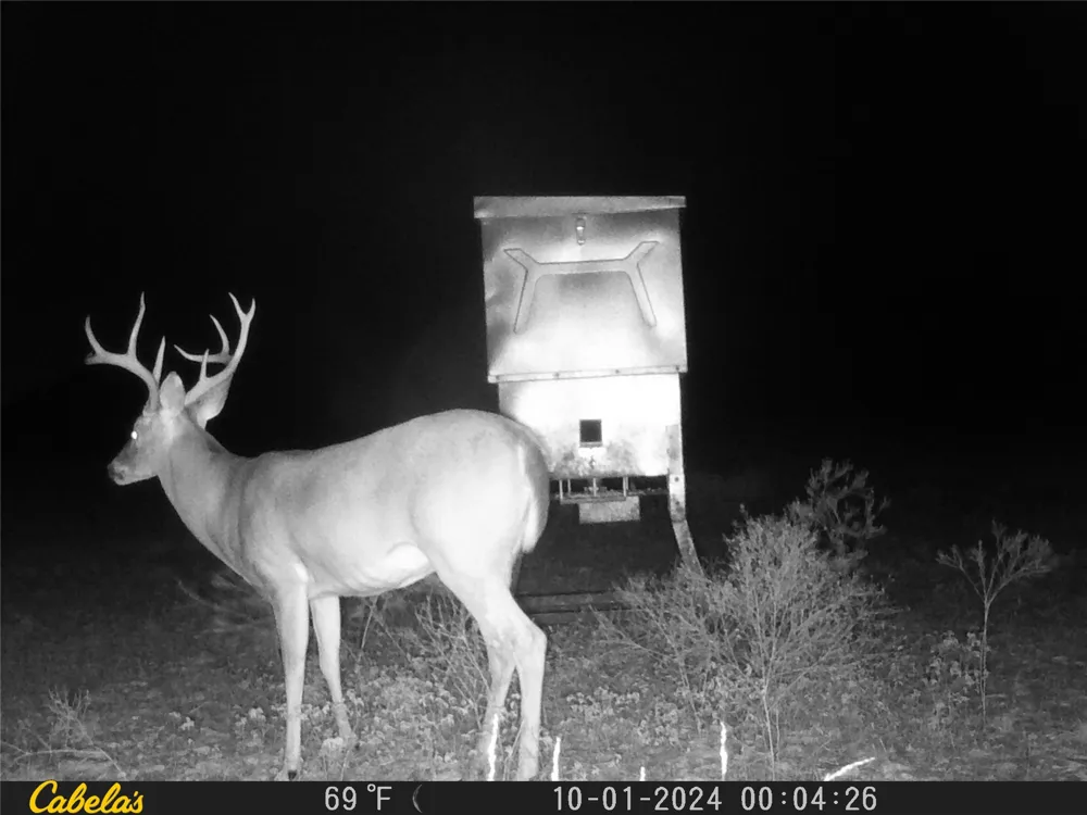C.R,316 Walburg, TX 78626