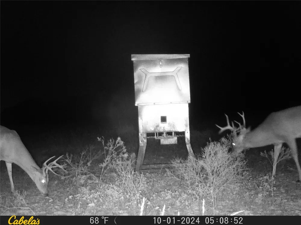C.R,316 Walburg, TX 78626