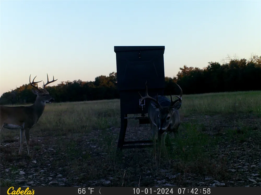 C.R,316 Walburg, TX 78626