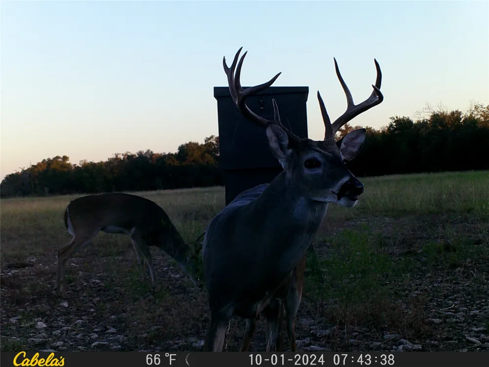 C.R,316 Walburg, TX 78626
