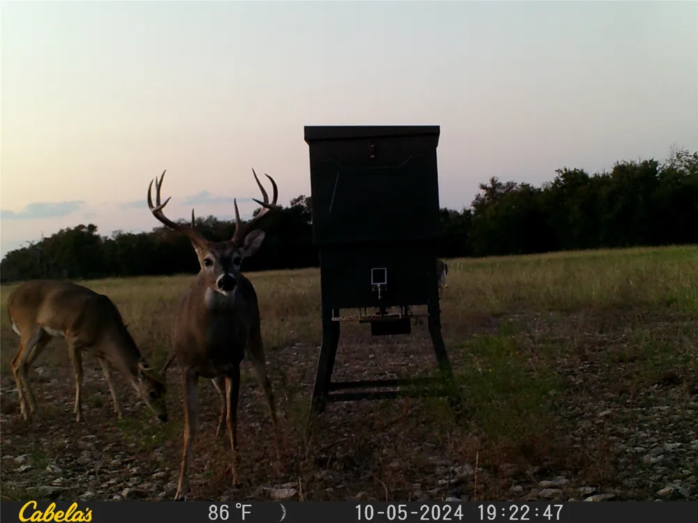 C.R,316 Walburg, TX 78626