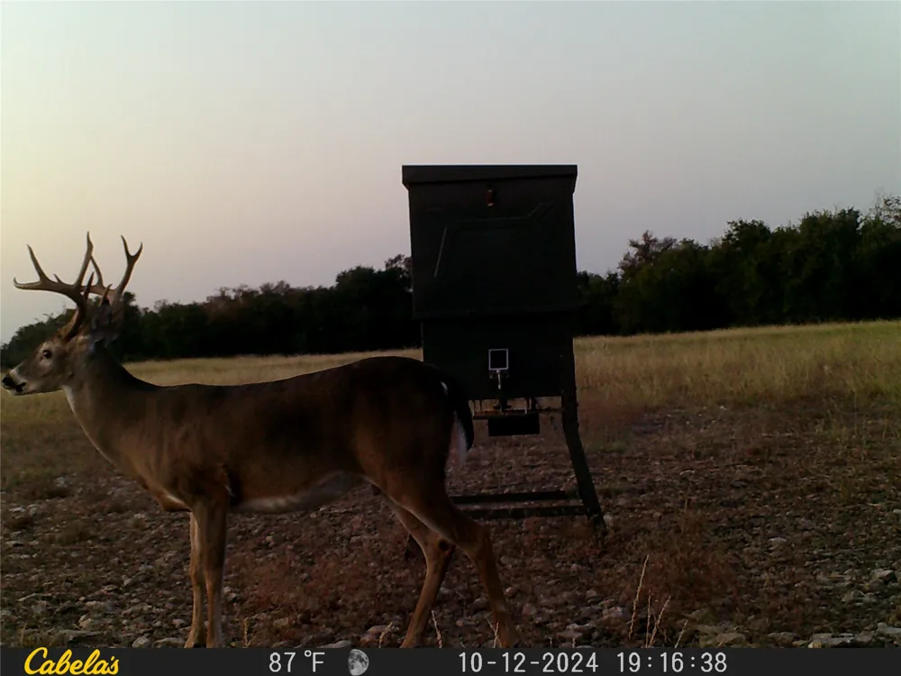 C.R,316 Walburg, TX 78626