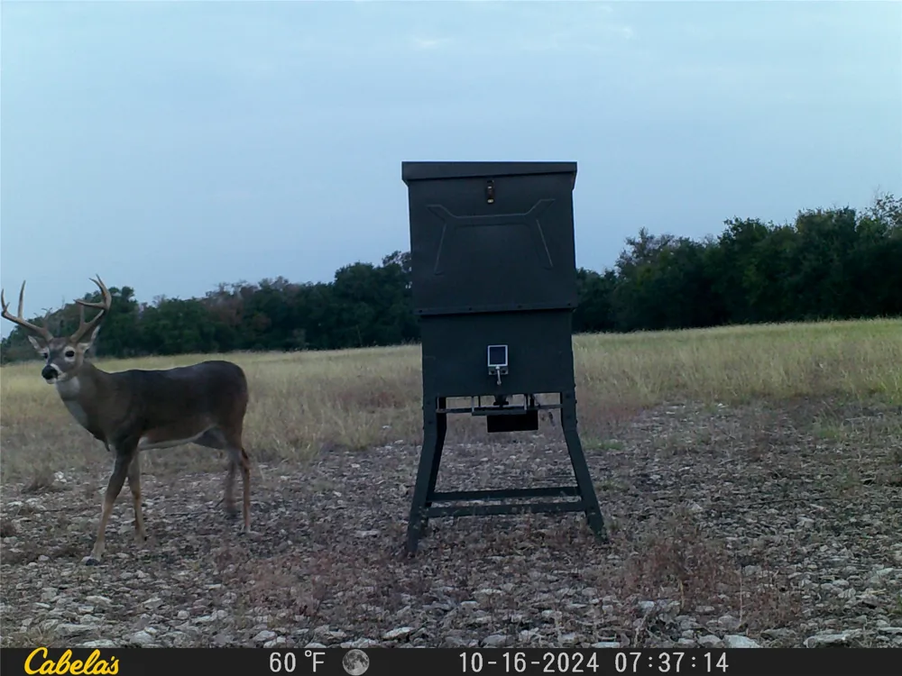 C.R,316 Walburg, TX 78626