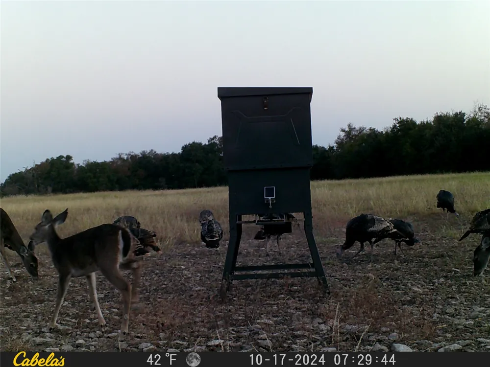 C.R,316 Walburg, TX 78626