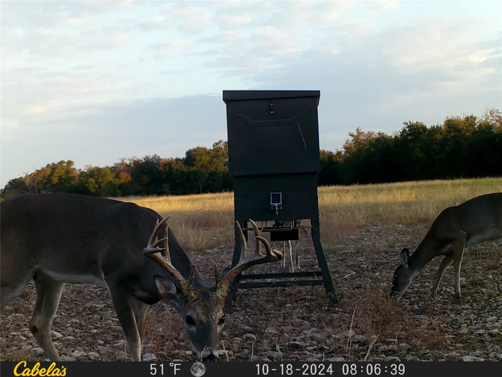 C.R,316 Walburg, TX 78626