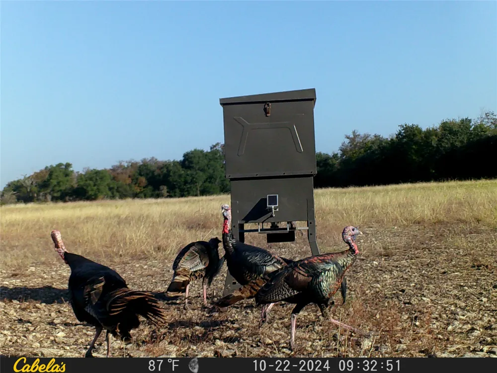 C.R,316 Walburg, TX 78626