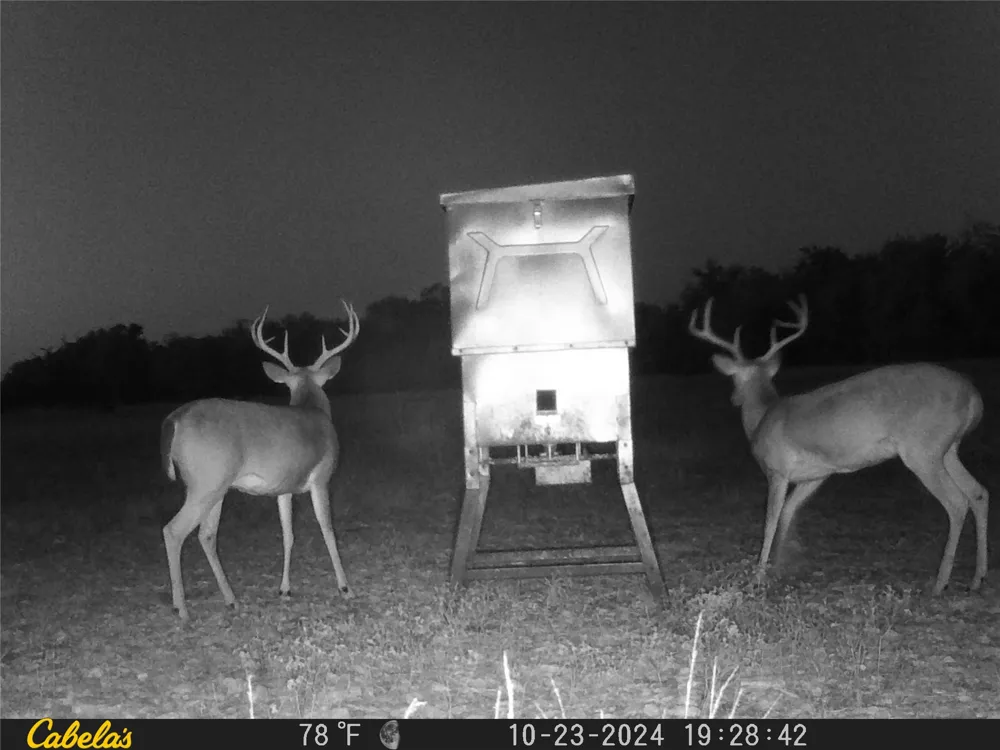 C.R,316 Walburg, TX 78626