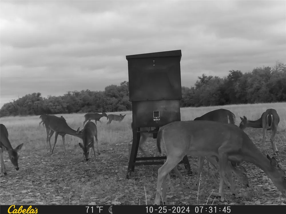 C.R,316 Walburg, TX 78626