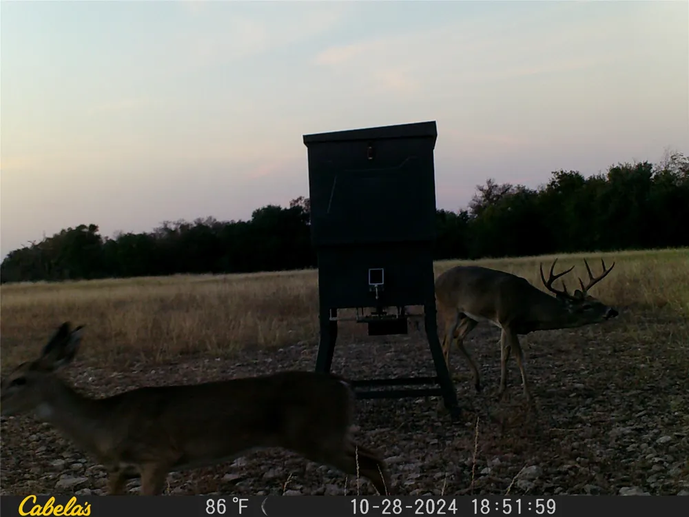 C.R,316 Walburg, TX 78626