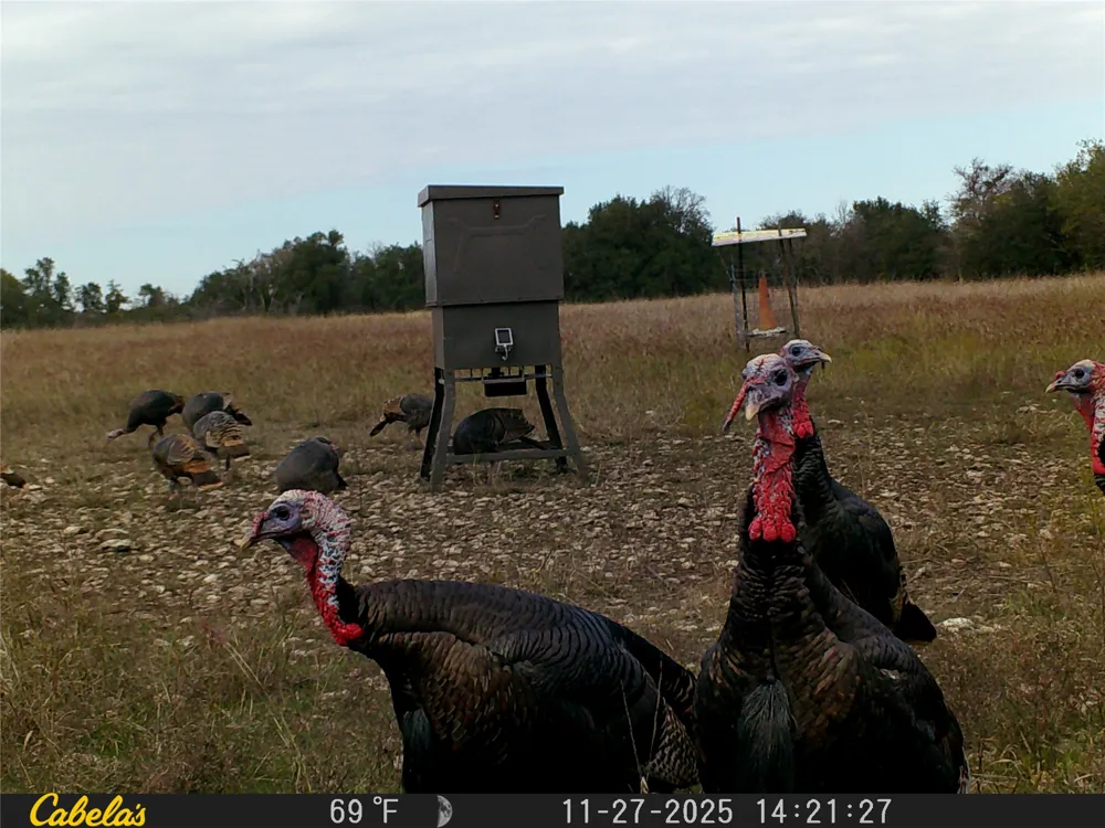 C.R,316 Walburg, TX 78626