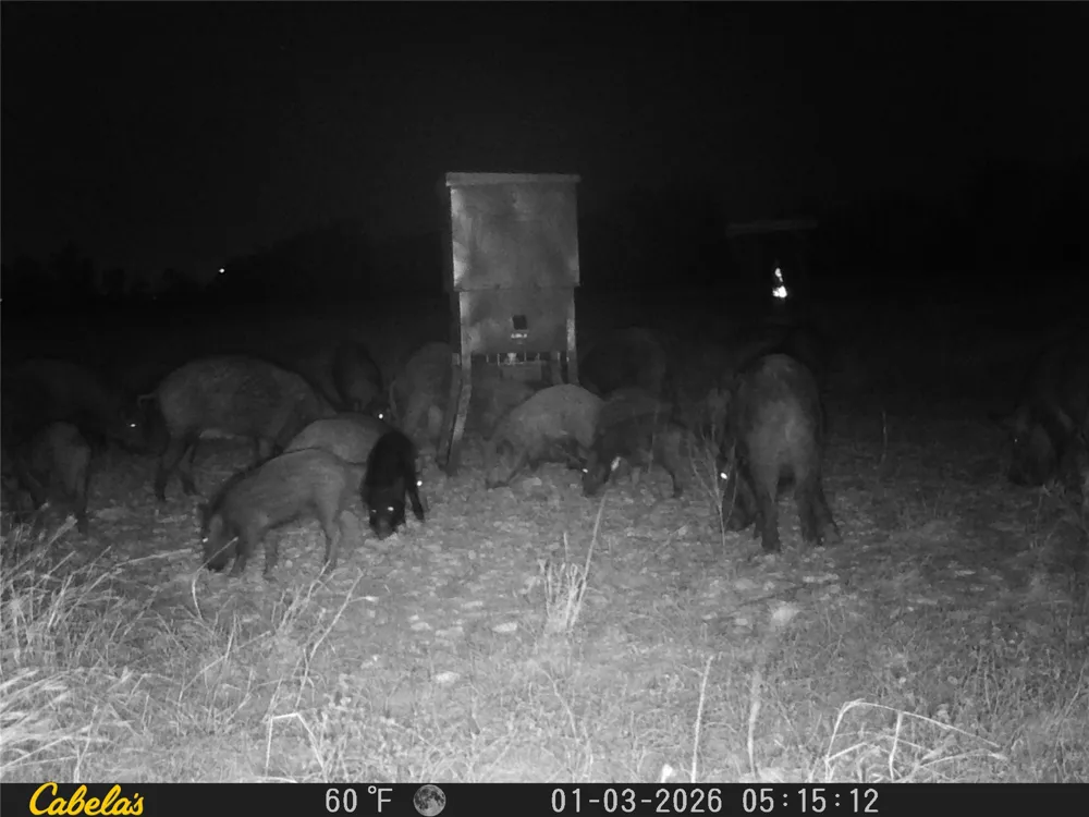 C.R,316 Walburg, TX 78626