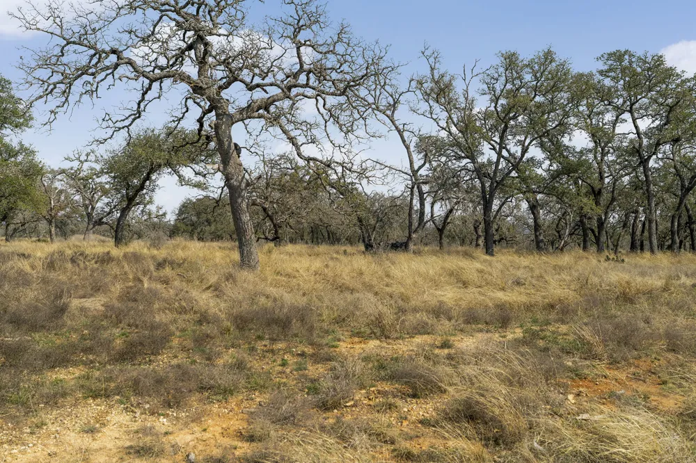 9 Silas Trail Fredericksburg, TX 78624