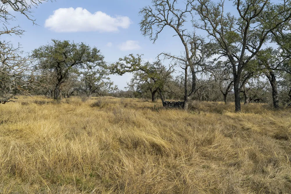 9 Silas Trail Fredericksburg, TX 78624