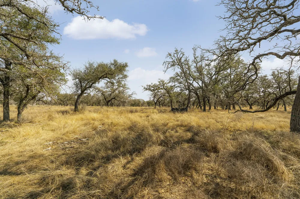 9 Silas Trail Fredericksburg, TX 78624