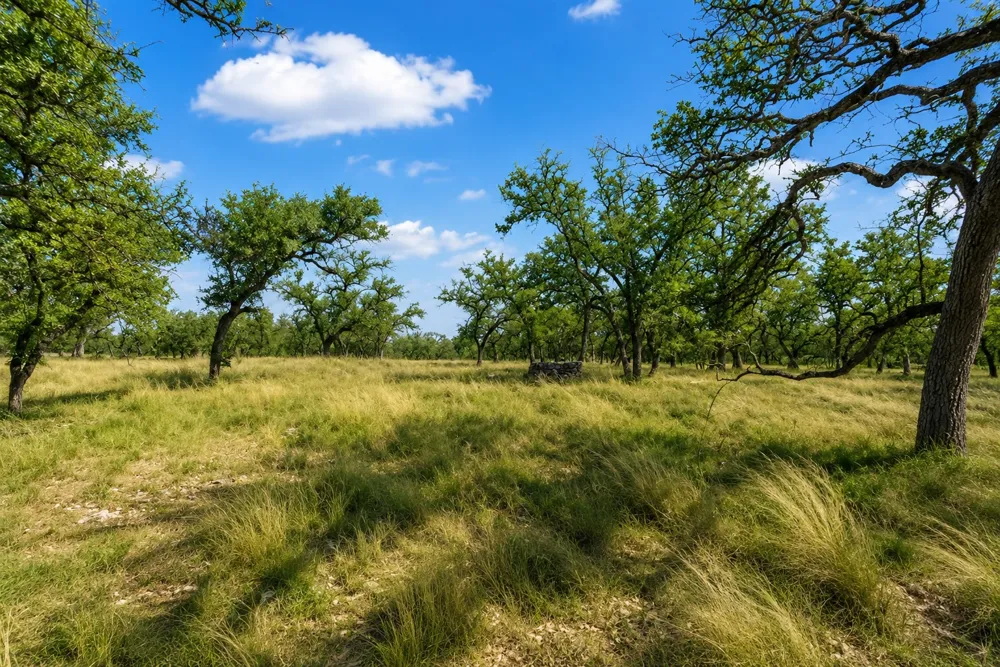 9 Silas Trail Fredericksburg, TX 78624