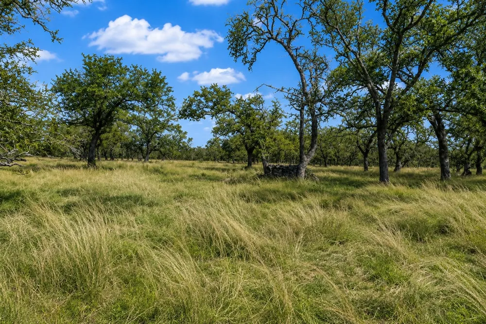 9 Silas Trail Fredericksburg, TX 78624
