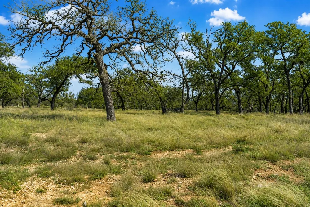 9 Silas Trail Fredericksburg, TX 78624