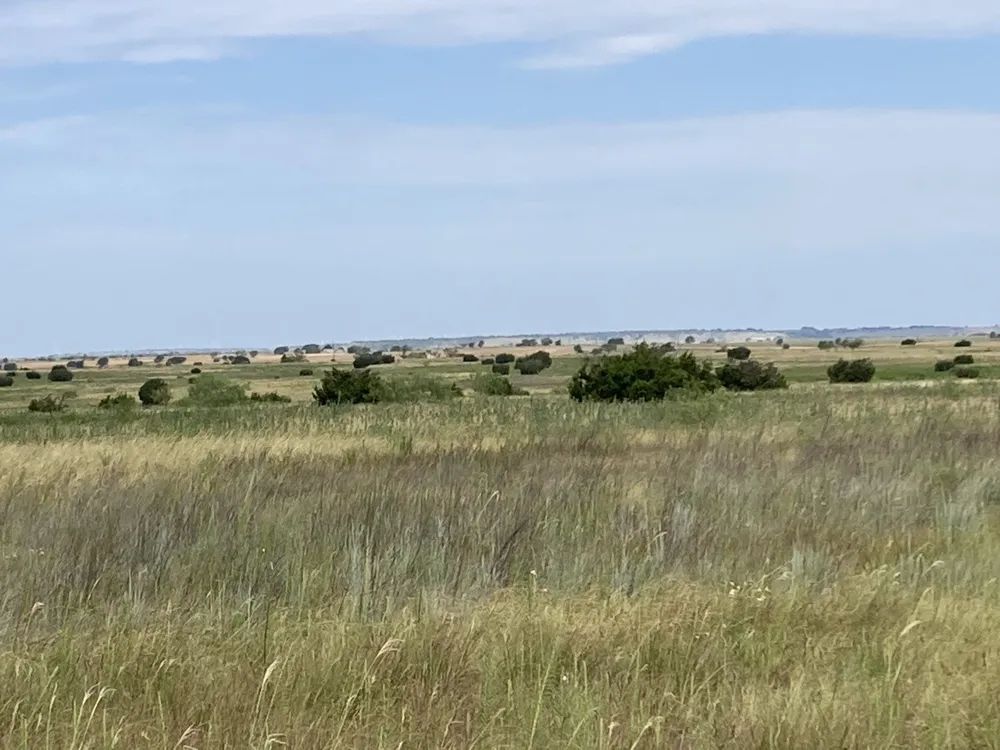 250 Private Road 6191 Hamilton, TX 76531