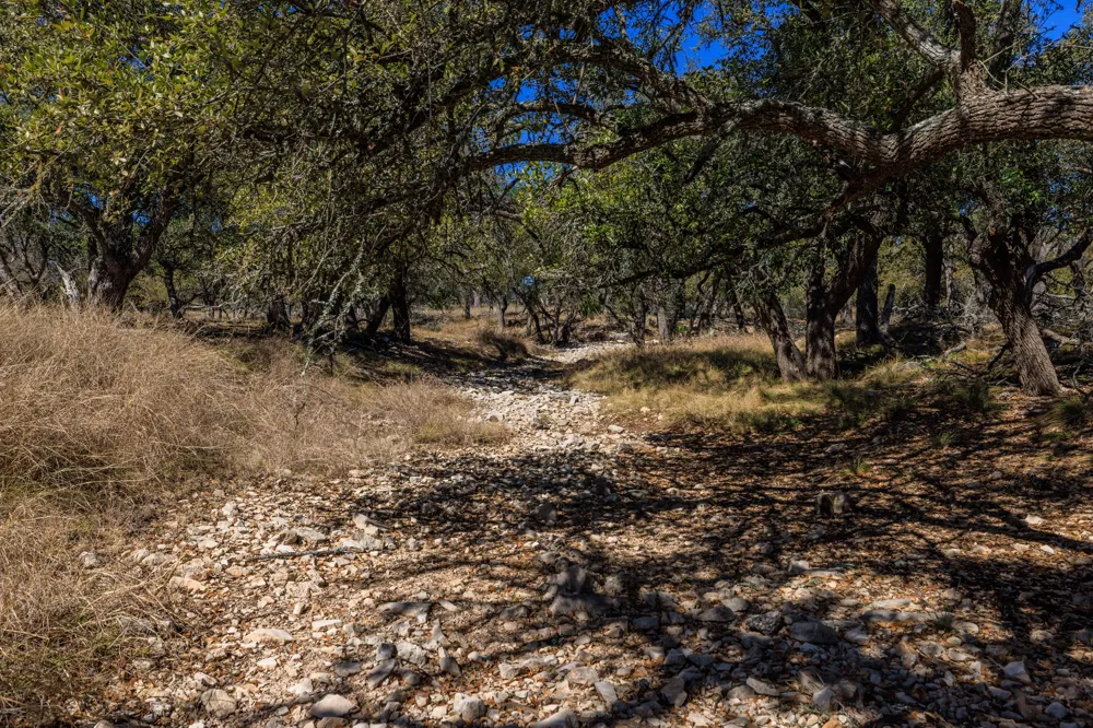 2020 Wendel Road Harper, TX 78631