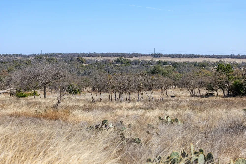 2020 Wendel Road Harper, TX 78631