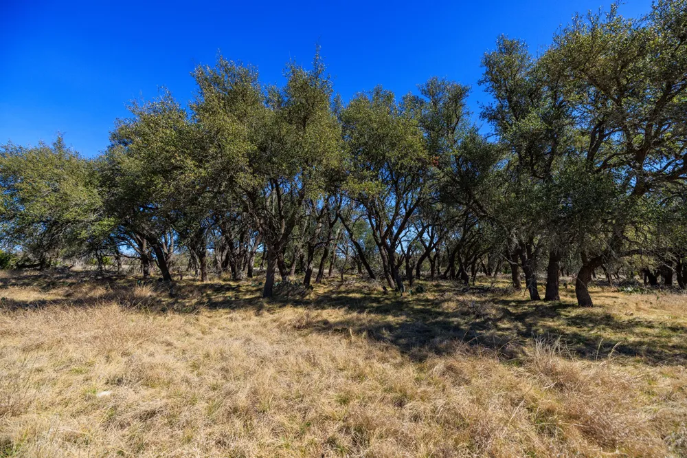 2020 Wendel Road Harper, TX 78631