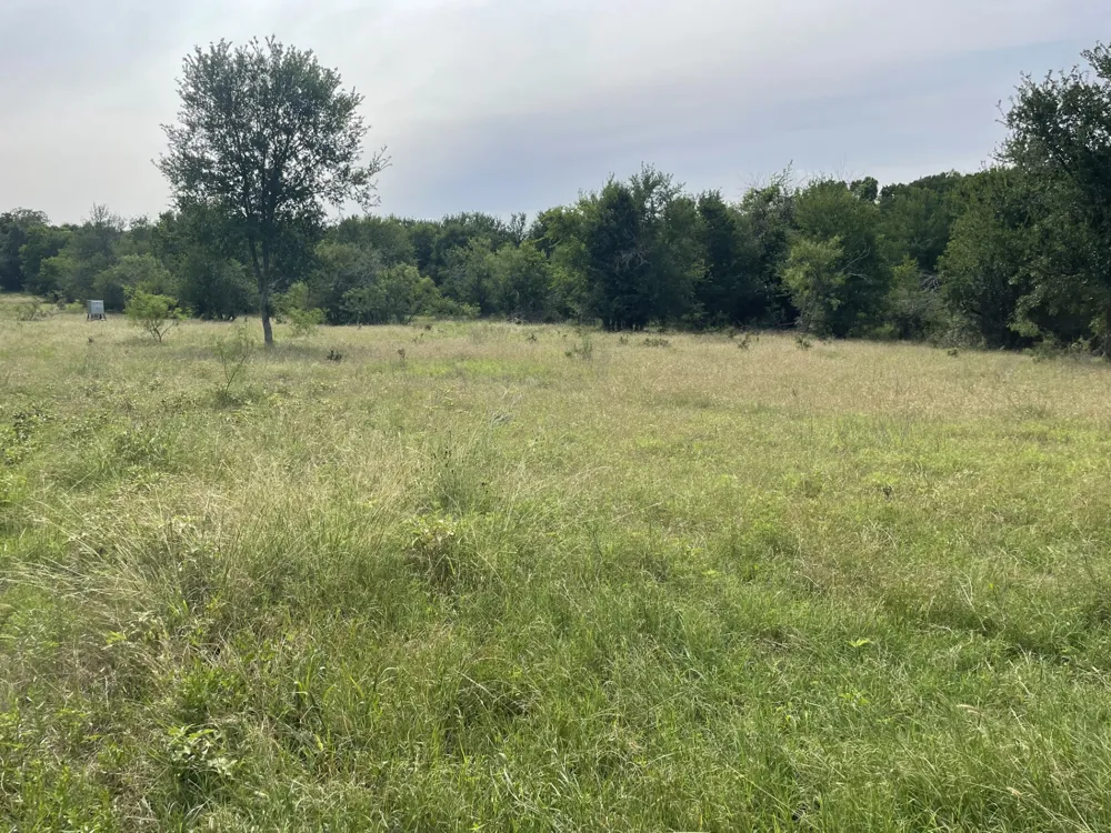Donahue Road Road Bartlett, TX 76511
