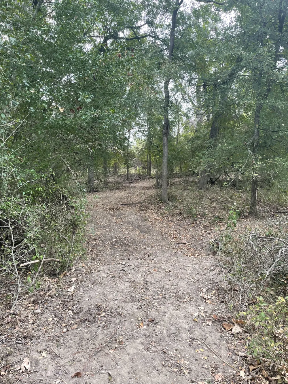 Donahue Road Road Bartlett, TX 76511