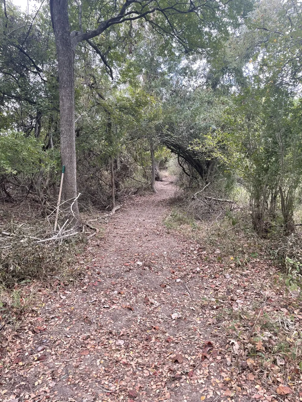 Donahue Road Road Bartlett, TX 76511
