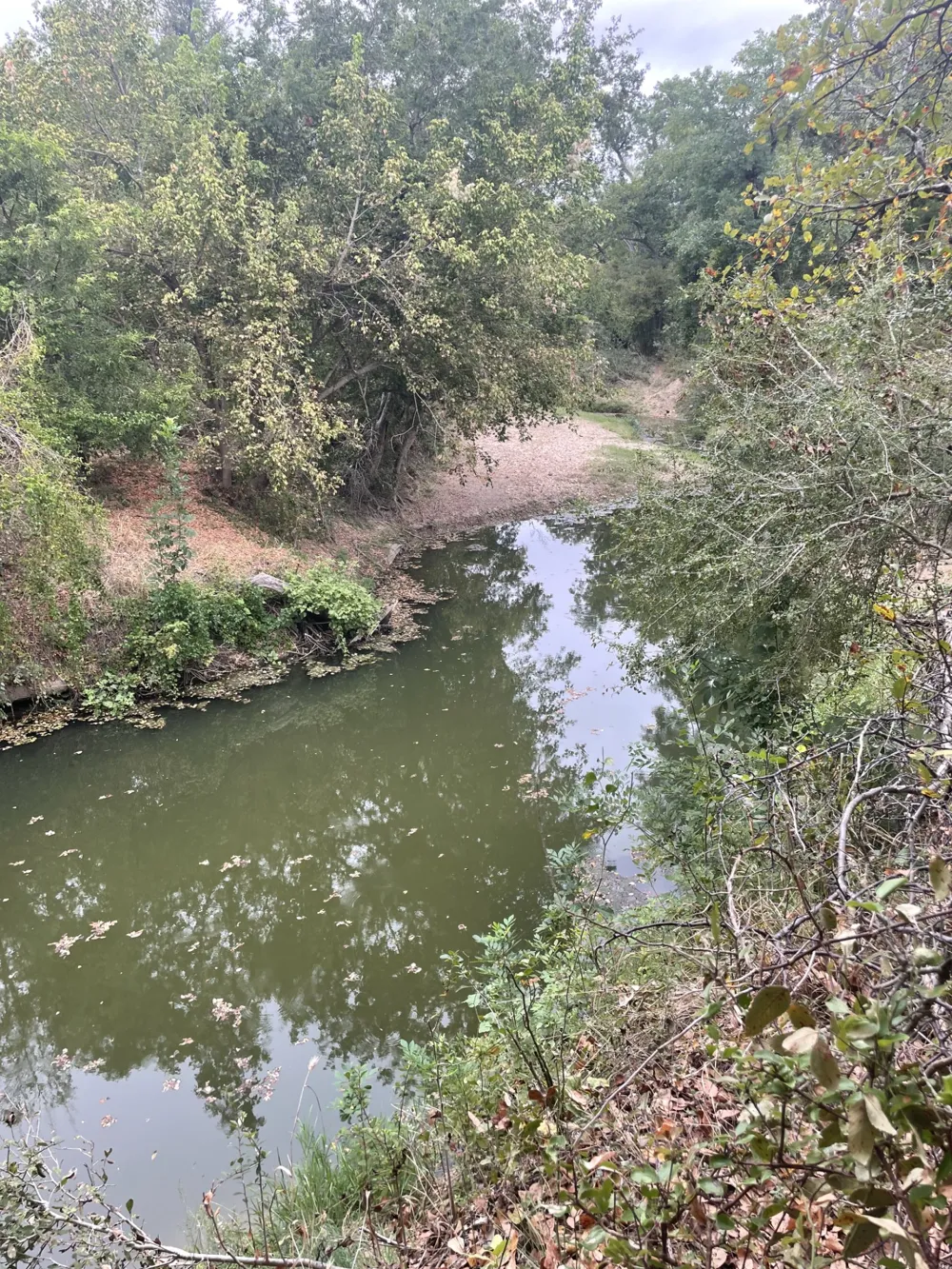 Donahue Road Road Bartlett, TX 76511