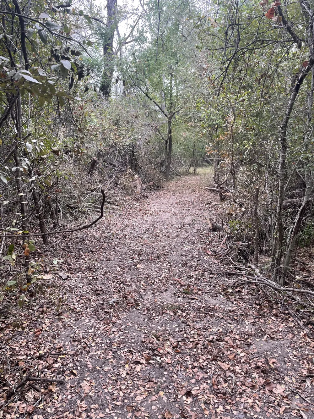 Donahue Road Road Bartlett, TX 76511