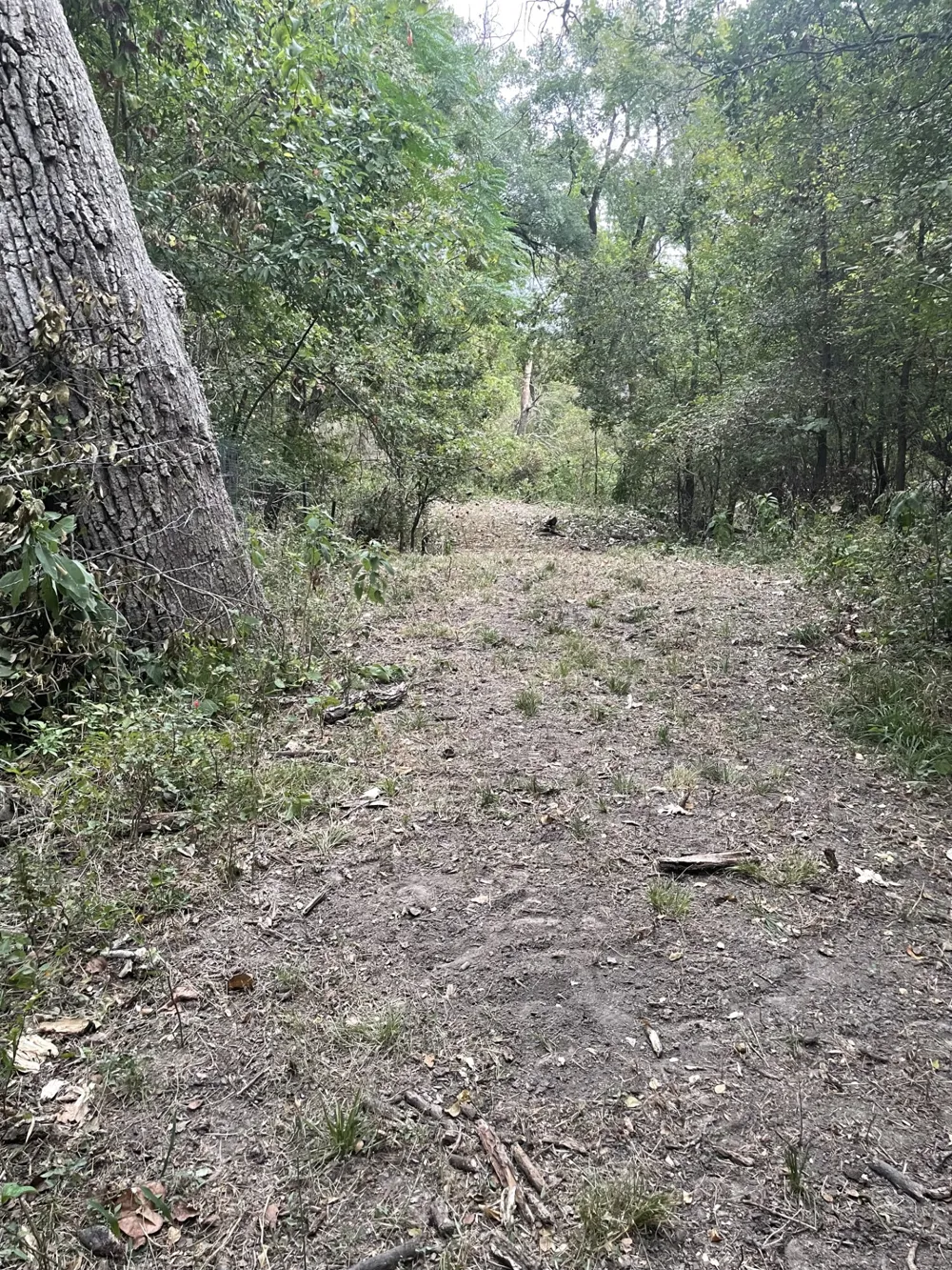 Donahue Road Road Bartlett, TX 76511