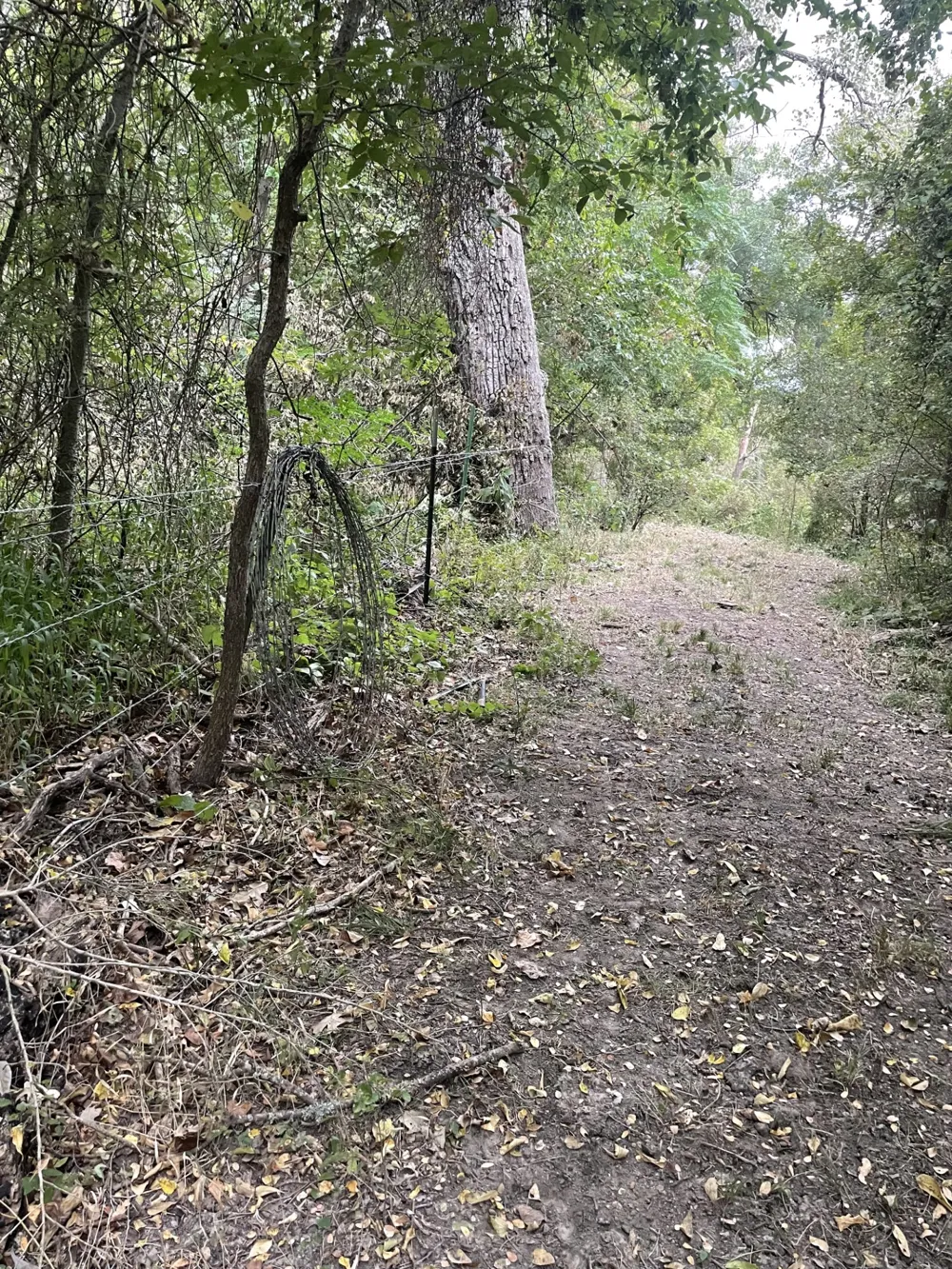 Donahue Road Road Bartlett, TX 76511