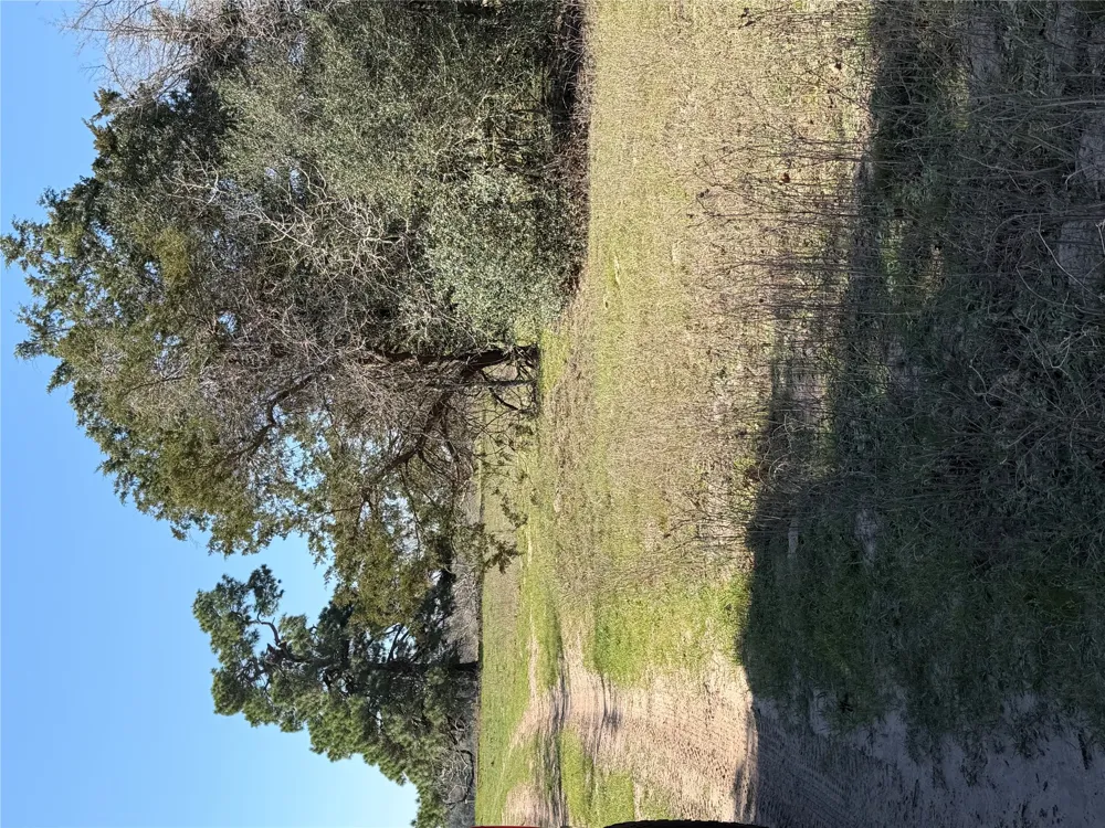 Cedar Rock Road Rosanky, TX 78953