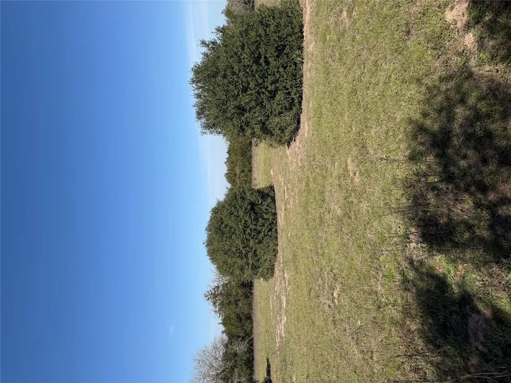 Cedar Rock Road Rosanky, TX 78953