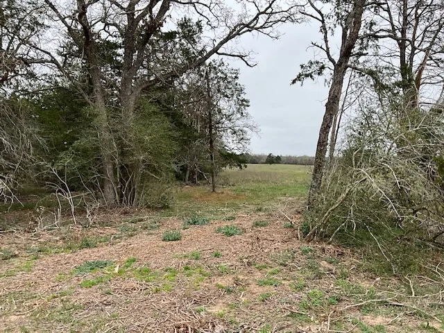 Cedar Rock Road Rosanky, TX 78953