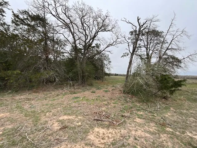 Cedar Rock Road Rosanky, TX 78953