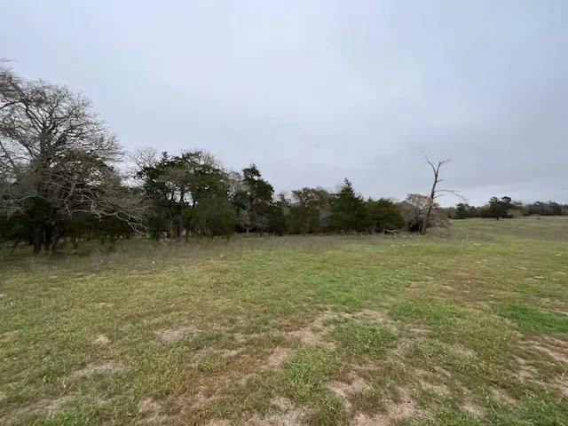 Cedar Rock Road Rosanky, TX 78953