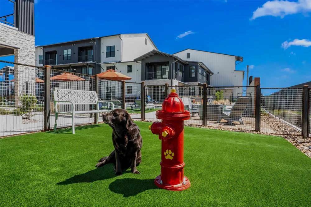 634 Central Parkway #1212 New Braunfels, TX 78130