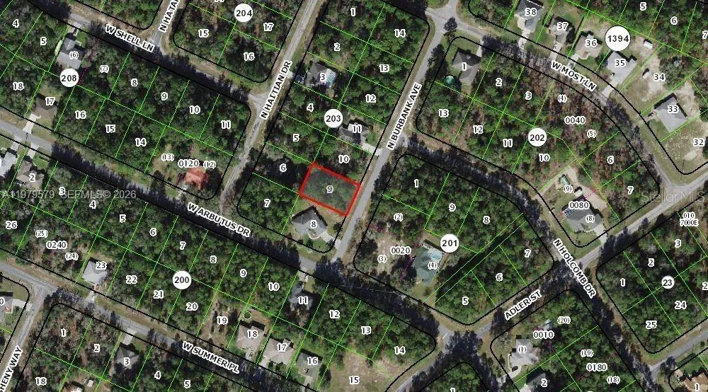 10684 N Burbank Ave Citrus Springs, FL 34434